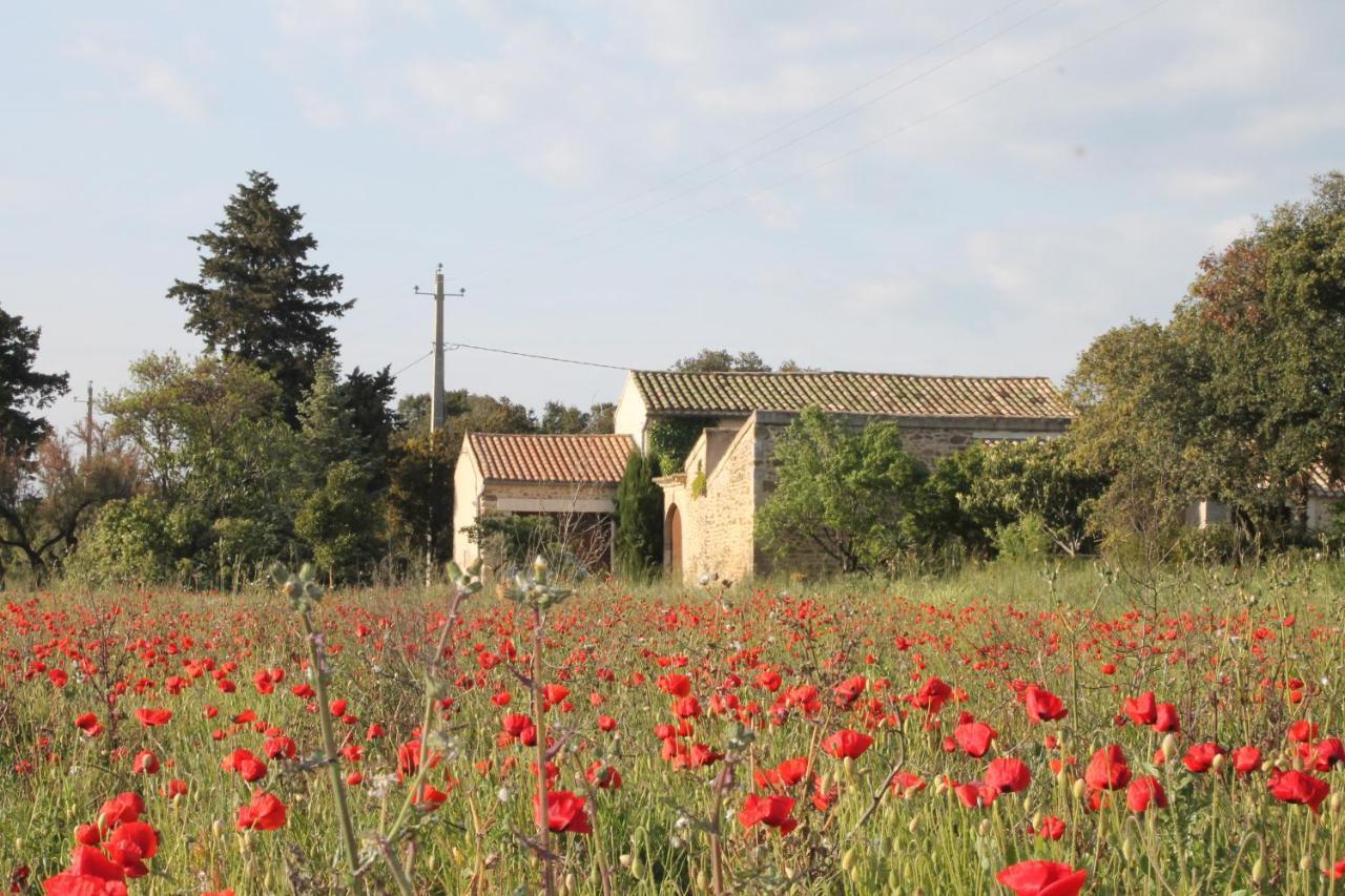 Le Mas De La Seuve Richerenches Exterior foto